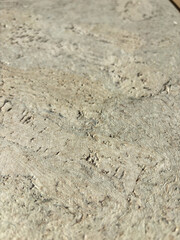 Close photograph of a light cork surface with gentle flowing texture and small cavities. The scene is evenly lit and neutral.