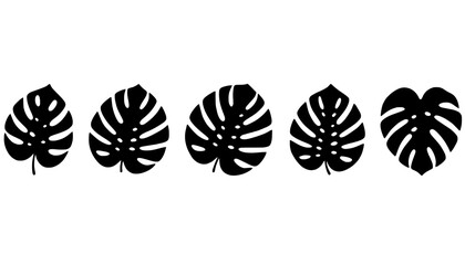 Tropical Monstera Leaf Silhouette