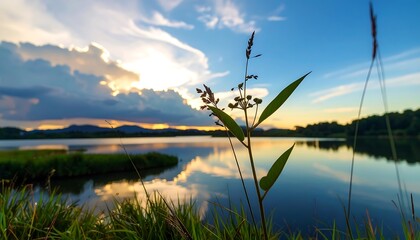 Tranquil lake sunset