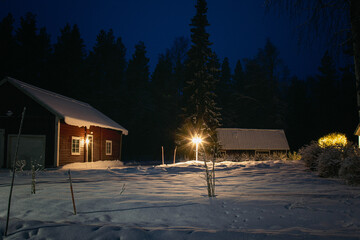 Wooden buildings against the backdrop of a forest on a winter evening
