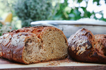 Overhead View of Creamy Yellow Polenta or Hominy Topped with Large Cheese Shavings in a Metal Pan at a Rustic Outdoor Buffet