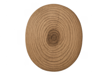 Wood log cross section showing tree rings