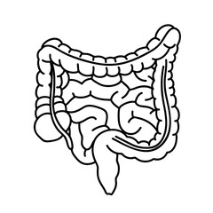 Human intestines in cartoon style. The human digestive system.Isolated on a white background, with space for text.
