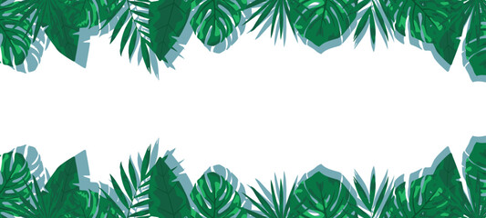 Background in the form of a tropical fern and monstera on a white background. Summer mood. There is a place for an inscription