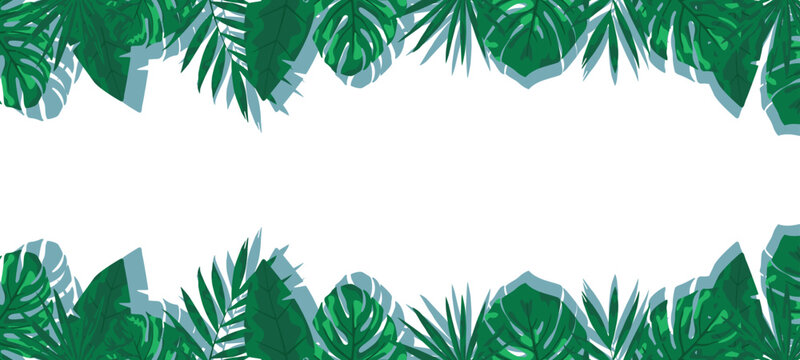 Background in the form of a tropical fern and monstera on a white background. Summer mood. There is a place for an inscription