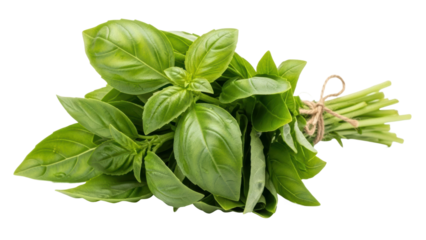 Fresh basil leaves gathered together for cooking and seasoning dishes in a kitchen setting, ready for use in culinary creation. Isolated on transparent background, png