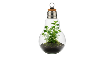 Light bulb planter holds small green plants with dirt inside, showing indoor gardening ideas and eco-friendly decor concepts in modern homes. Isolated on transparent background, png