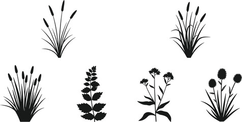 Collection of Black Silhouettes of Wetland Plants and Wildflowers white background