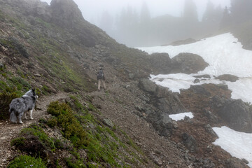 A man and his dog a walking the Sauk Mountain Trail near the top of the mountain in Washington. 