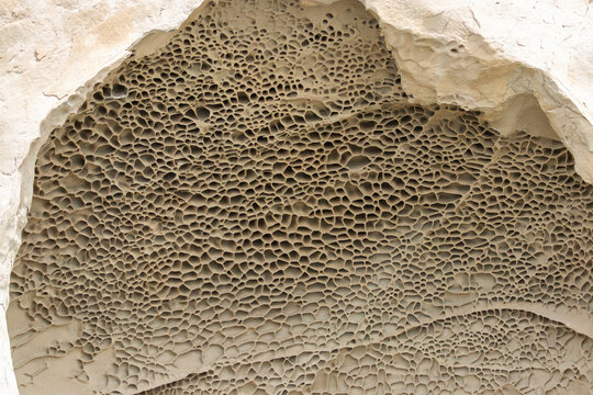 A view of honeycomb weathering on sandstone on the shore of Puget Sound.