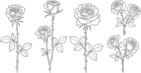 Collection of black and white line art drawings of roses with stems and leaves flower 1