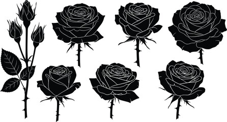 Black Rose Silhouettes with Thorns and Leaves on White Background floral flower