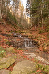 A mountain stream in the forest in cloudy weather in autumn