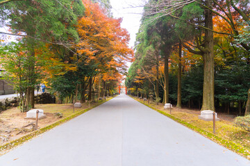 静寂に包まれた参道が続く神社の秋景色