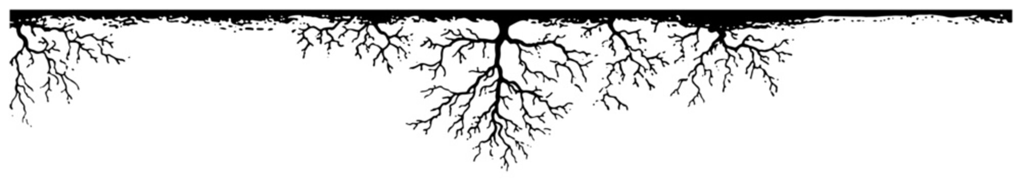 Underground tree roots silhouette hanging from top border vector illustration