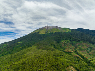 Fototapeta premium Top view of farmland with plantings against a background of mountains and blue sky. Kanlaon volcano. Negros, Philippines