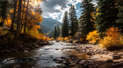 Sunlight streams through tall trees illuminating a vibrant autumn creek flowing through a rocky canyon landscape