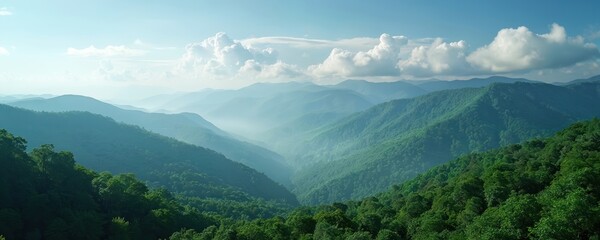 Panoramic view of mountain range with forest. Green woodland covers slopes. Blue sky has white clouds. Misty valley between hills. Mountain landscape nature background shows eco and wild environment.