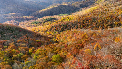 Aerial view of fall colors in the mountains