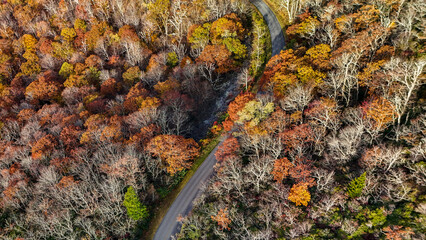 Aerial view of fall colors in the mountains