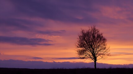 Fototapeta premium Solitary deciduous tree stands silhouetted against a vibrant twilight horizon showcasing intense purple and orange atmospheric colors.