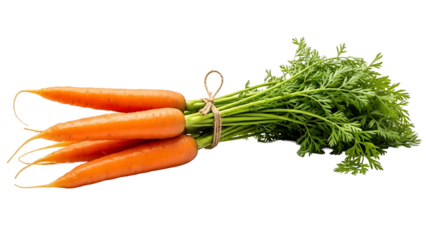 A bunch of fresh carrots tied together, perfect for culinary endeavors