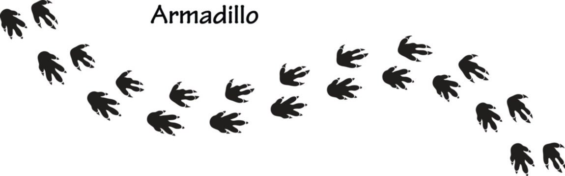 Armadillo Paw Print Vector Illustration,Armadillo Footprint Track Icon Vector