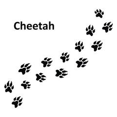 Cheetah Paw Print Vector Illustration,Animal Footprint Vector Illustration, Wildlife Footprint Track Symbol,