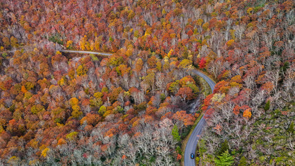 Aerial view of fall colors in the mountains.
