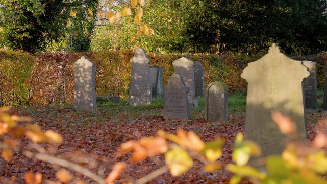 Autumn cemetery scene with rows of gravestones on leaf covered ground, golden trees and warm sunlight create a peaceful, reflective atmosphere. Jewish cemetery in autumn.