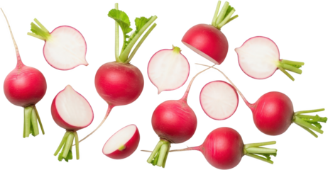 Fresh Red Radishes Whole And Sliced With Green Tops And White Flesh Floating Against A Transparent Background Cut Food Vegetable Ingredient Healthy Root Produce