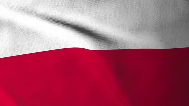 Poland Flag Texture. Seamless video of European country full screen fabric flag fluttering in wind. Motion design for Poland sports and patriotic events. 3D rendering loop animated background