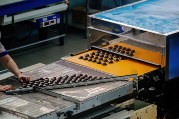 Process of chocolate glazing marshmallows in confectionery on conveyor machine, close up
