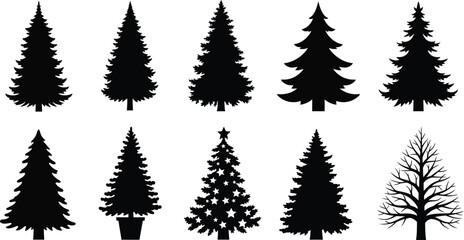Obraz premium Collection of silhouetted evergreen and deciduous trees in various forms