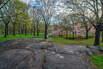 Central Park in spring