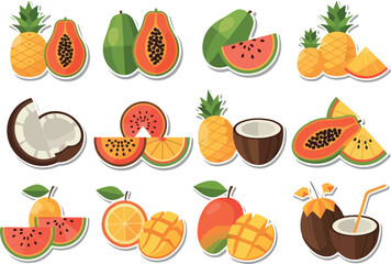 Exotic Fruits Colorful Tropical Fruit Vector Illustration