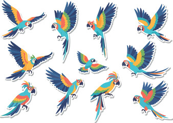 Exotic Birds Colorful Parrot Collection - Tropical Wildlife Vector Art