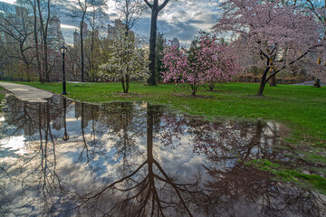 Fototapety na wymiar - Fototapeta24.pl