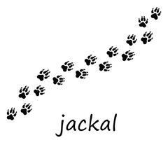 Jackal Paw Print Line Icon &ndash; Trendy Wildlife Vector for Web and App UI,Jackal Paw Print Modern Line Art Icon