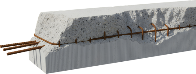 Reinforced concrete beam cross section showing rebar embedded within textured concrete material and a smooth base layer reinforcement