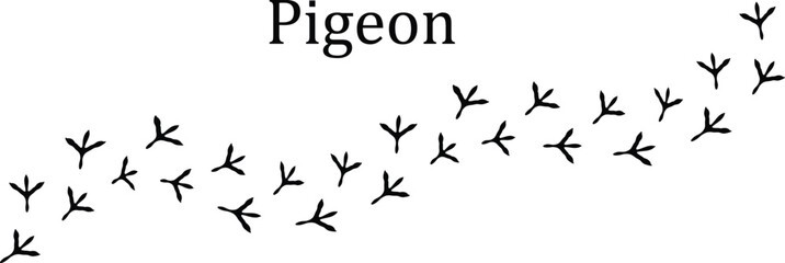 Pigeon Paw Track Black Line Icon for UI Design,Pigeon Paw Track Outline Icon for Web and Apps,Pigeon Paw Print Flat Line Bird Footprint Icon