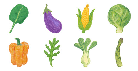 Colorful hand-drawn vegetable illustrations