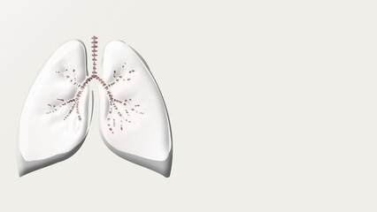 Anatomical Illustration of Human Lungs and Bronchial Tubes, Representing Respiratory Health, Air Quality, and New Year Focus on Smoking Cessation and Wellbeing.