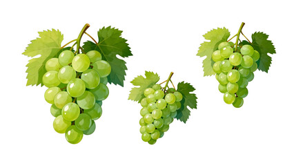 set of green grapes