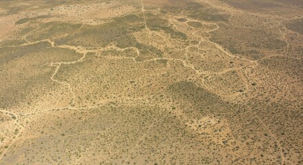 Aerial View of Arid Landscape with Winding Dirt Tracks