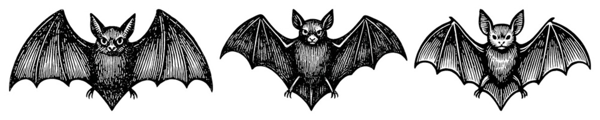 Obraz premium PNG Silhouetted bats in flight, element set on transparent background