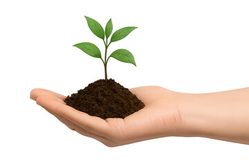 Nurturing a small green seedling growing from rich dark soil held gently in an open human hand on transparent background