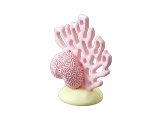 Brain and Coral Sculpture on a White Background