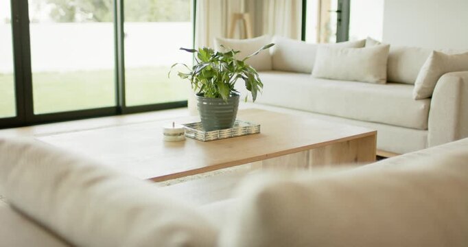 Camera initiating focus pull highlighting plant leaves on wooden coffee table against sofa and lawn