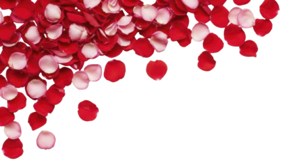  Valentine's Day scattered red pink rose petals on a transparent background, PNG file